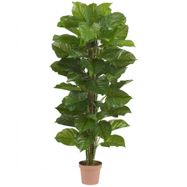 Dare2Decor 63 in. Large Leaf Philodendron Silk Plant -Real Touch DA404726 - main